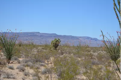 199 Cortaro Rd, Yucca, AZ 86438 - Photo 3