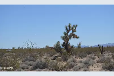 199 Cortaro Rd, Yucca, AZ 86438 - Photo 33