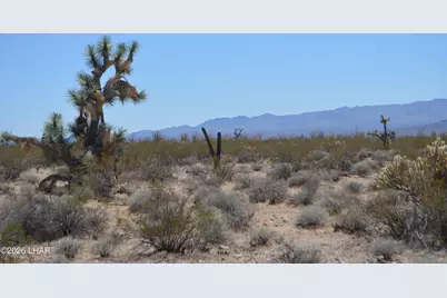 199 Cortaro Rd, Yucca, AZ 86438 - Photo 11