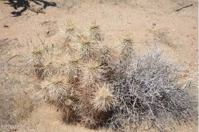 199 Cortaro Rd, Yucca, AZ 86438 - Photo 27