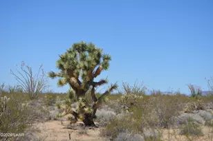 199 Cortaro Rd, Yucca, AZ 86438 - Photo 1