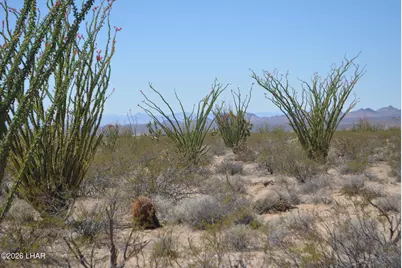 199 Cortaro Rd, Yucca, AZ 86438 - Photo 9