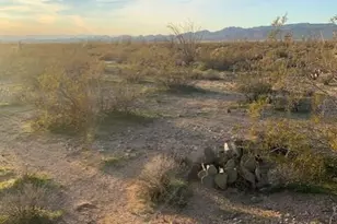0 Cholla Dr, Yucca, AZ 86438 - Photo 1