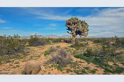517 S Dale Evans Rd, Yucca, AZ 86438 - Photo 1
