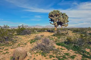 517 S Dale Evans Rd, Yucca, AZ 86438 - Photo 1