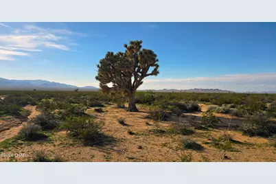 517 S Dale Evans Rd, Yucca, AZ 86438 - Photo 11