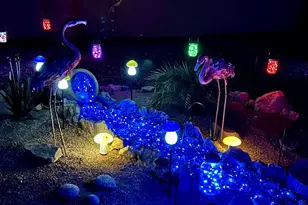 3281 Sheik Dr, Lake Havasu City, AZ 86404 - Photo 43