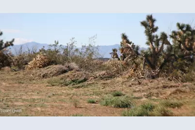 Lot 1 S Alvis Rd, Yucca, AZ 86438 - Photo 53