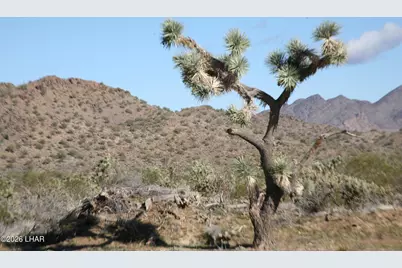Lot 1 S Alvis Rd, Yucca, AZ 86438 - Photo 35
