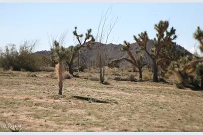 Lot 1 S Alvis Rd, Yucca, AZ 86438 - Photo 51