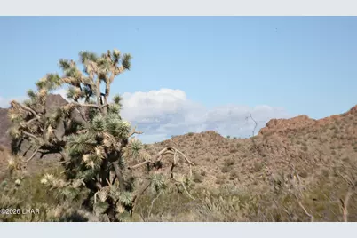 Lot 1 S Alvis Rd, Yucca, AZ 86438 - Photo 59
