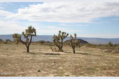 Lot 1 S Alvis Rd, Yucca, AZ 86438 - Photo 3