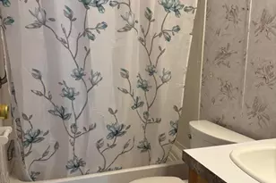 15454 S Carmen Rd, Yucca, AZ 86438 - Photo 3