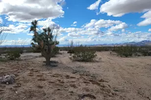 3630 W Yellow Bird Dr, Yucca, AZ 86438 - Photo 1