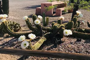 200 N Moon Mountain Ave #20 Ave, Quartzsite, AZ 85346 - Photo 31