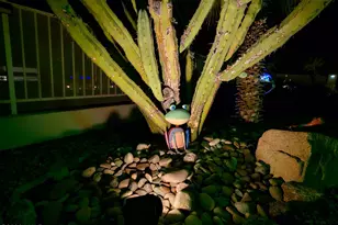 3141 Silver Saddle Dr, Lake Havasu City, AZ 86406 - Photo 51