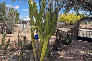 49570 Rainbow Dr, Quartzsite, AZ 85346 - Photo 3