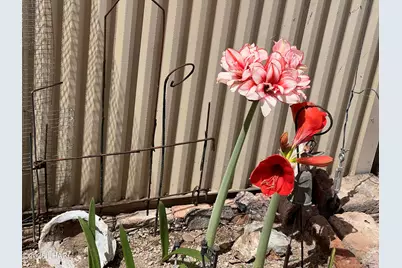 49570 Rainbow Dr, Quartzsite, AZ 85346 - Photo 39