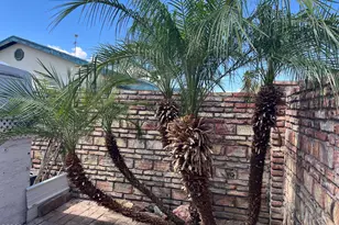 49570 Rainbow Dr, Quartzsite, AZ 85346 - Photo 35