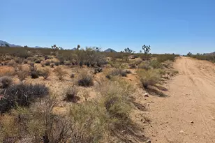 171 & 172 S Nash Rd, Yucca, AZ 86438 - Photo 1