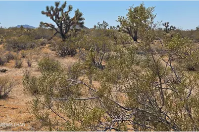 Lot 190 S Mary Pl, Yucca, AZ 86438 - Photo 5