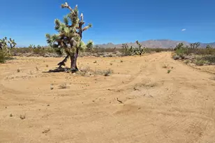 Lot 190 S Mary Pl, Yucca, AZ 86438 - Photo 1