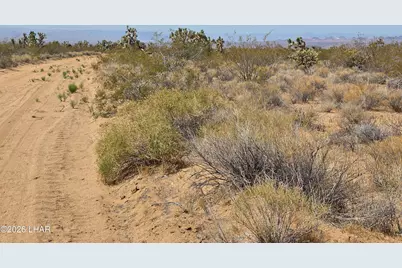 Lot 196 E Bush Rd, Yucca, AZ 86438 - Photo 5