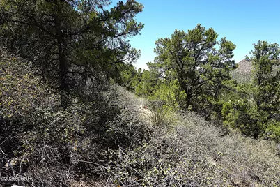 3225 S Atherton Dr, Kingman, AZ 86401 - Photo 87