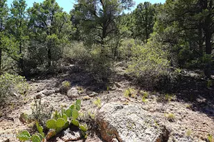 3225 S Atherton Dr, Kingman, AZ 86401 - Photo 83