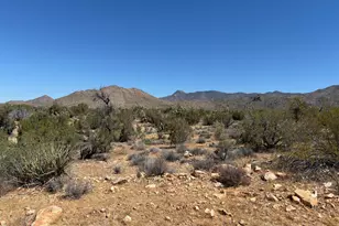 7811 E Arroyo Vista Parcel 139 Dr, Yucca, AZ 86438 - Photo 1