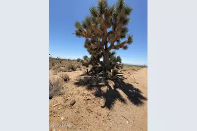 000 E Maricopa Dr, Yucca, AZ 86438 - Photo 3