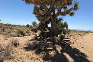 000 E Maricopa Dr, Yucca, AZ 86438 - Photo 3