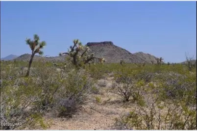 000 S Alvis Rd, Yucca, AZ 86438 - Photo 5
