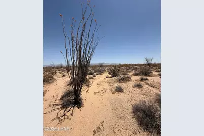 000 S Doc Holliday Rd, Yucca, AZ 86438 - Photo 5