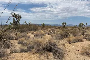 00 Organ Pipe Pl, Yucca, AZ 86438 - Photo 1