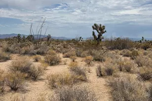 00 Organ Pipe Pl, Yucca, AZ 86438 - Photo 3