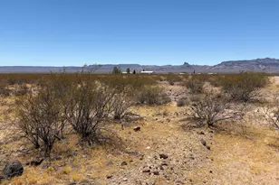 0 W W Zentiff Dr, Golden Valley, AZ 86413 - Photo 3