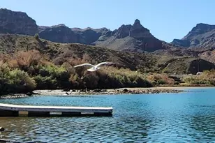37219 River Bend Dr, Parker, AZ 85344 - Photo 39