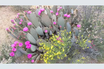 123-30-009 S Sundance Kid Rd, Yucca, AZ 86438 - Photo 17