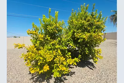 2609 Palo Verde Blvd N, Lake Havasu City, AZ 86404 - Photo 45