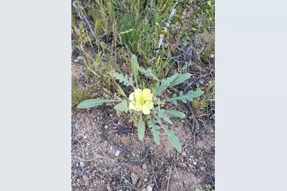 245-02-152 S Carrow Rd, Yucca, AZ 86438 - Photo 19