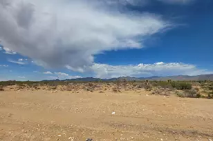 243-10-020 Alamo Rd, Yucca, AZ 86438 - Photo 3