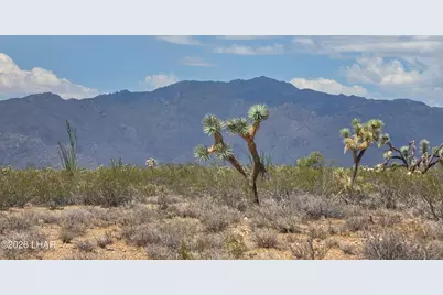 243-10-020 Alamo Rd, Yucca, AZ 86438 - Photo 1