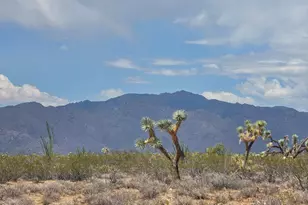 243-10-020 Alamo Rd, Yucca, AZ 86438 - Photo 1
