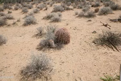 242-05-015 Gene Autry Rd, Yucca, AZ 86438 - Photo 7