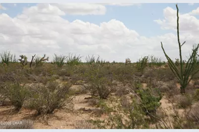 242-05-015 Gene Autry Rd, Yucca, AZ 86438 - Photo 15