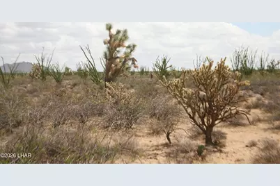 242-05-015 Gene Autry Rd, Yucca, AZ 86438 - Photo 29