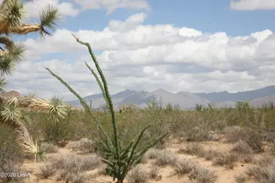 242-05-015 Gene Autry Rd, Yucca, AZ 86438 - Photo 25