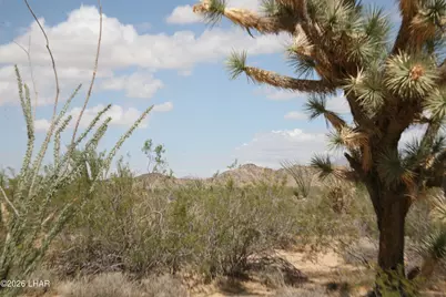 242-05-015 Gene Autry Rd, Yucca, AZ 86438 - Photo 23