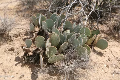 242-05-015 Gene Autry Rd, Yucca, AZ 86438 - Photo 27